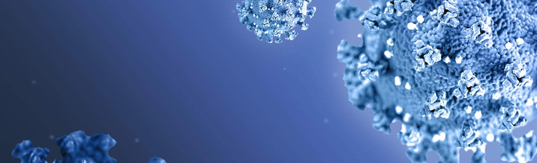 Covid-19 virus